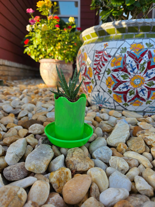 Austin Planter wavy pot with saucers