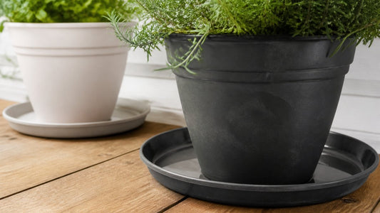 Protect Surfaces From Water Stains: Outdoor Planter Guide