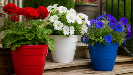 Red White and Blue Flower Pots: Patriotic Container Ideas