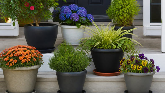 Year-Round Container Plants: A 2026 Guide