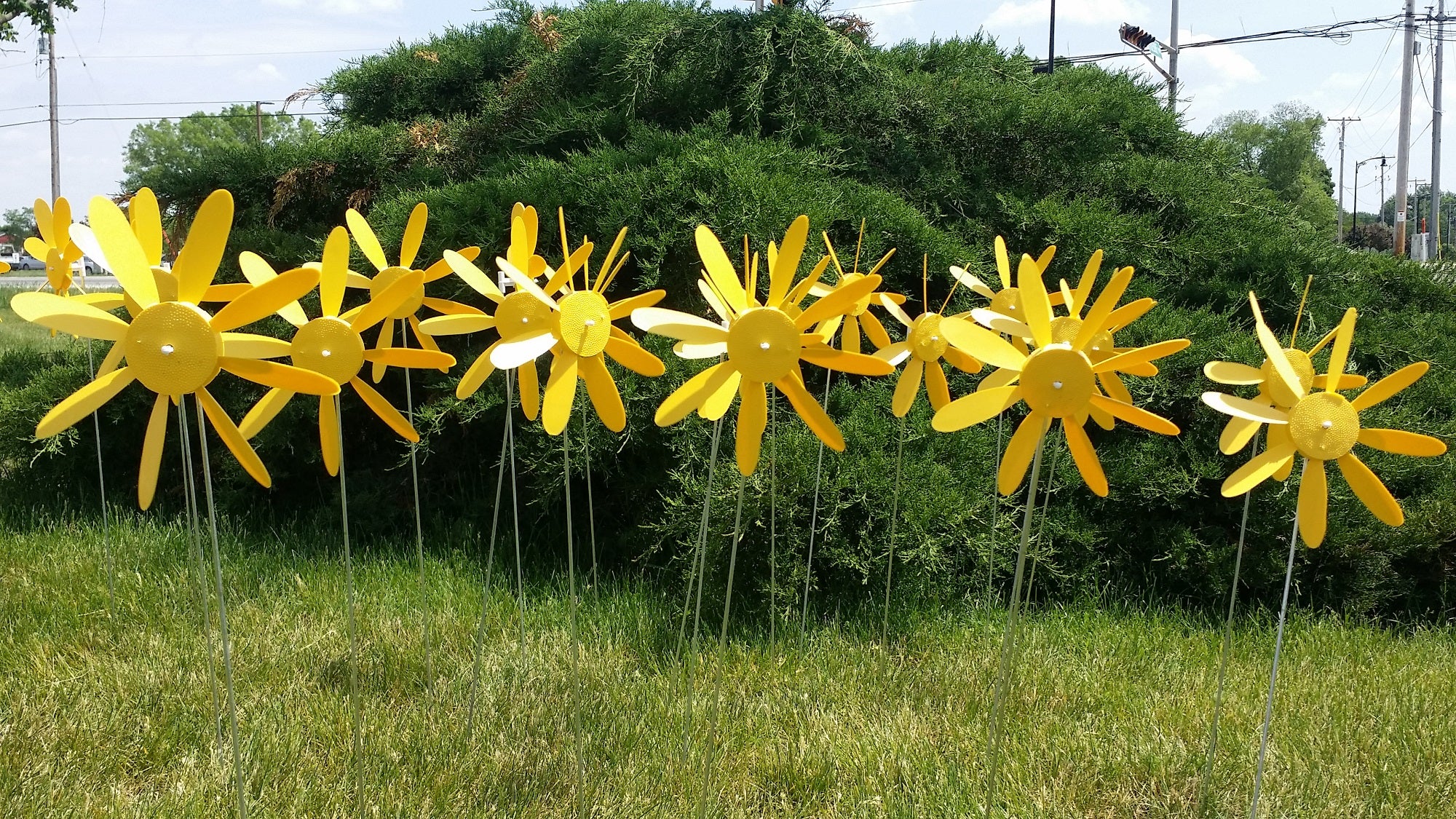 Austin Planter Classic Spinning Daisies for Patio, Lawn & Garden