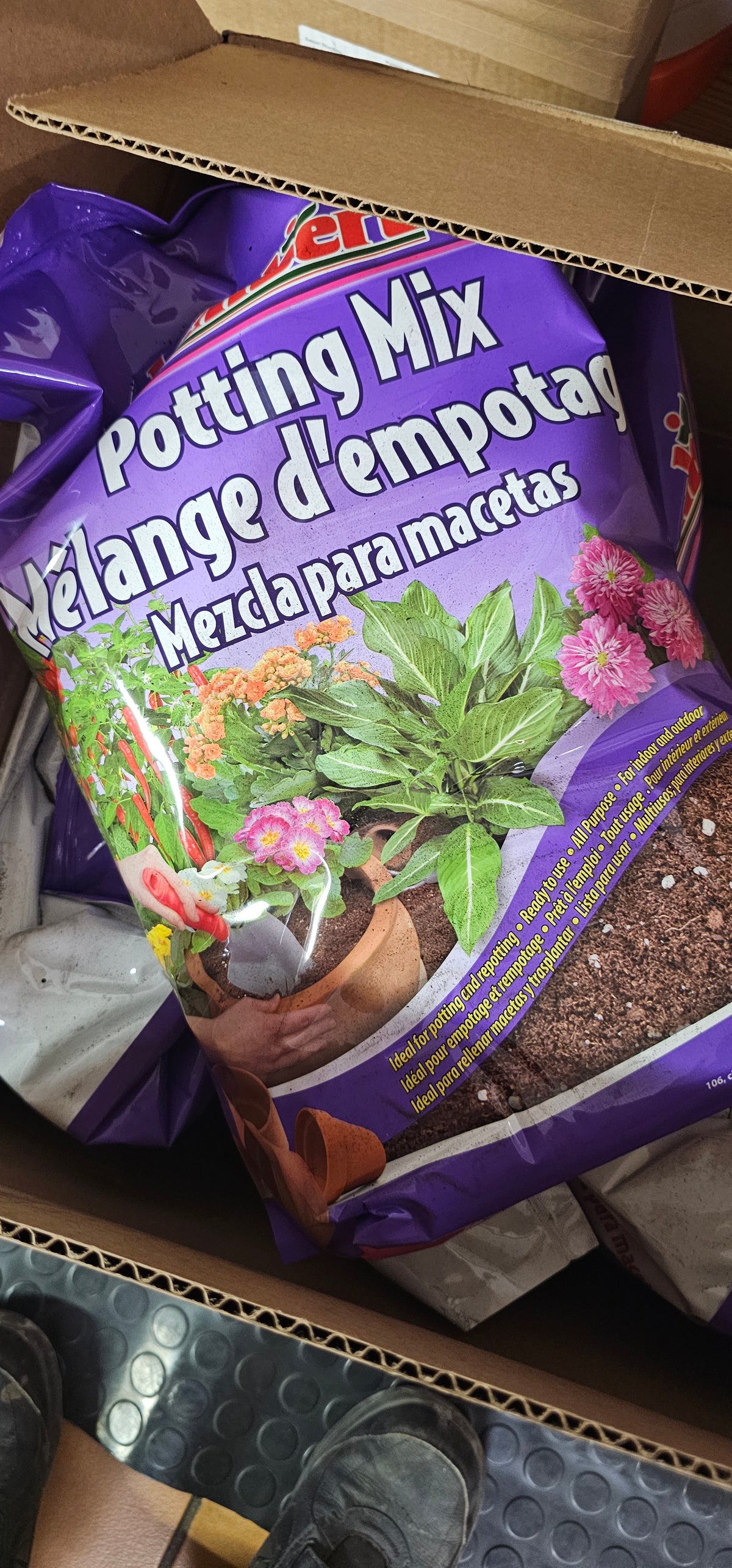 2 gal potting soil