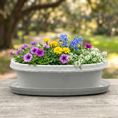 Oval Pot with Saucer