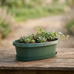 Austin Planter 17 inch by 9 inch Oval Pot with matching Saucer