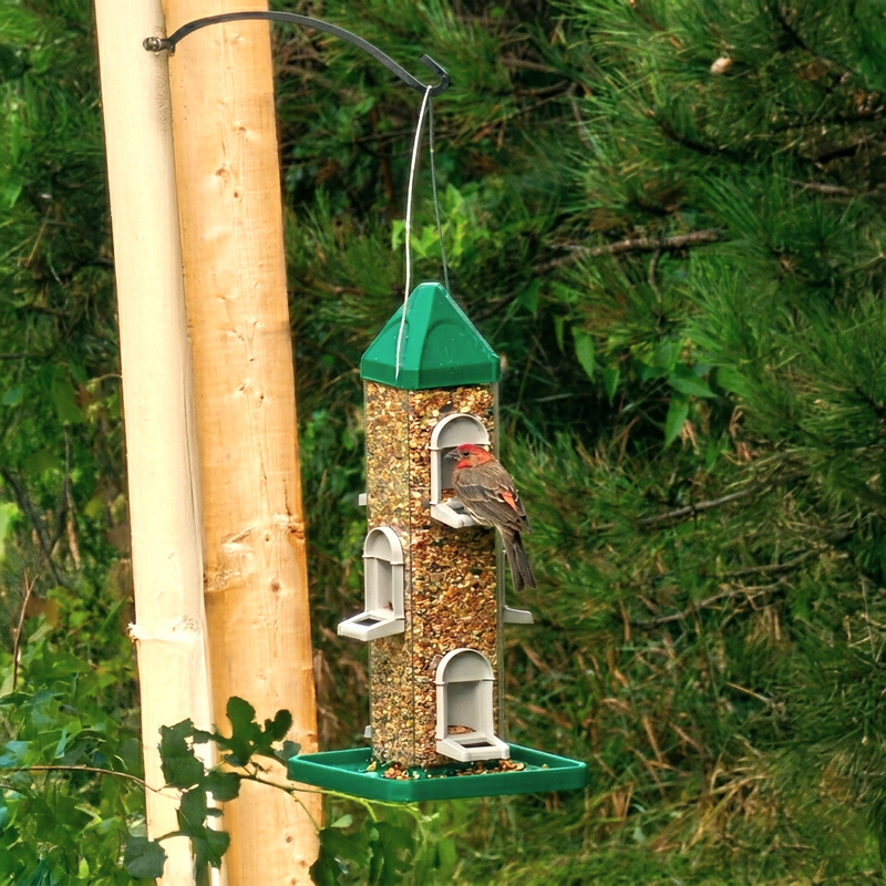 Garden & Wildlife Accessories