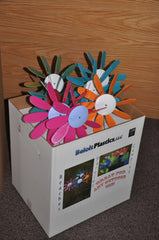 Classic 12 inch Spinning Daisies pack of 24 in PDQ display