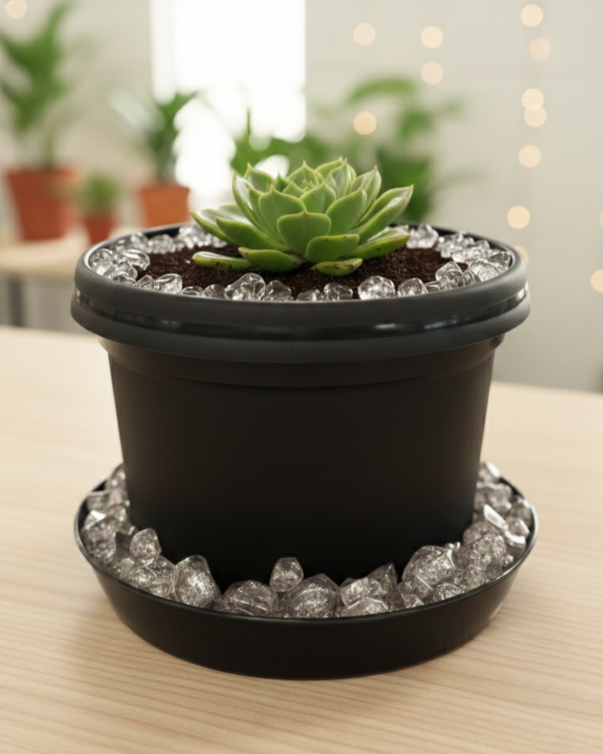 stones for plant pots Austin Planter Chunks, Decorative Pebbles for Plant Pots & Saucers – G