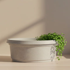 Austin Planter 13 inch by 5 inch Pot with Saucer (14 inch saucer)