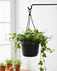 Austin Planter Flower Pot with Hanger