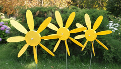 Early Bloomer 8 inch Spinning Daisies (Pack of 12)