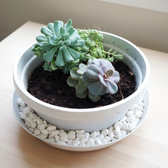 Austin Planter 13 inch by 5 inch Flower Pot with Saucer (14 inch)- (Single) - Made of Colored Polypropylene - Made is USA