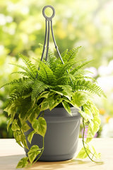 Austin Planter Flower Pot with Hanger