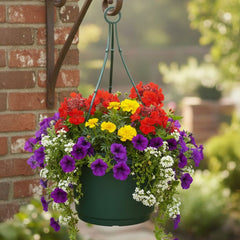 LAP 12 inch Pot with Saucer or Hanger
