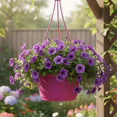 Austin Planter under 7 inch - Multi Size & Color Plastic Flower Pot, Seedling & Nursery Planter with Saucers