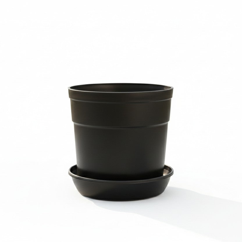 Austin Planter under 7 inch - Multi Size & Color Plastic Flower Pot, Seedling & Nursery Planter with Saucers
