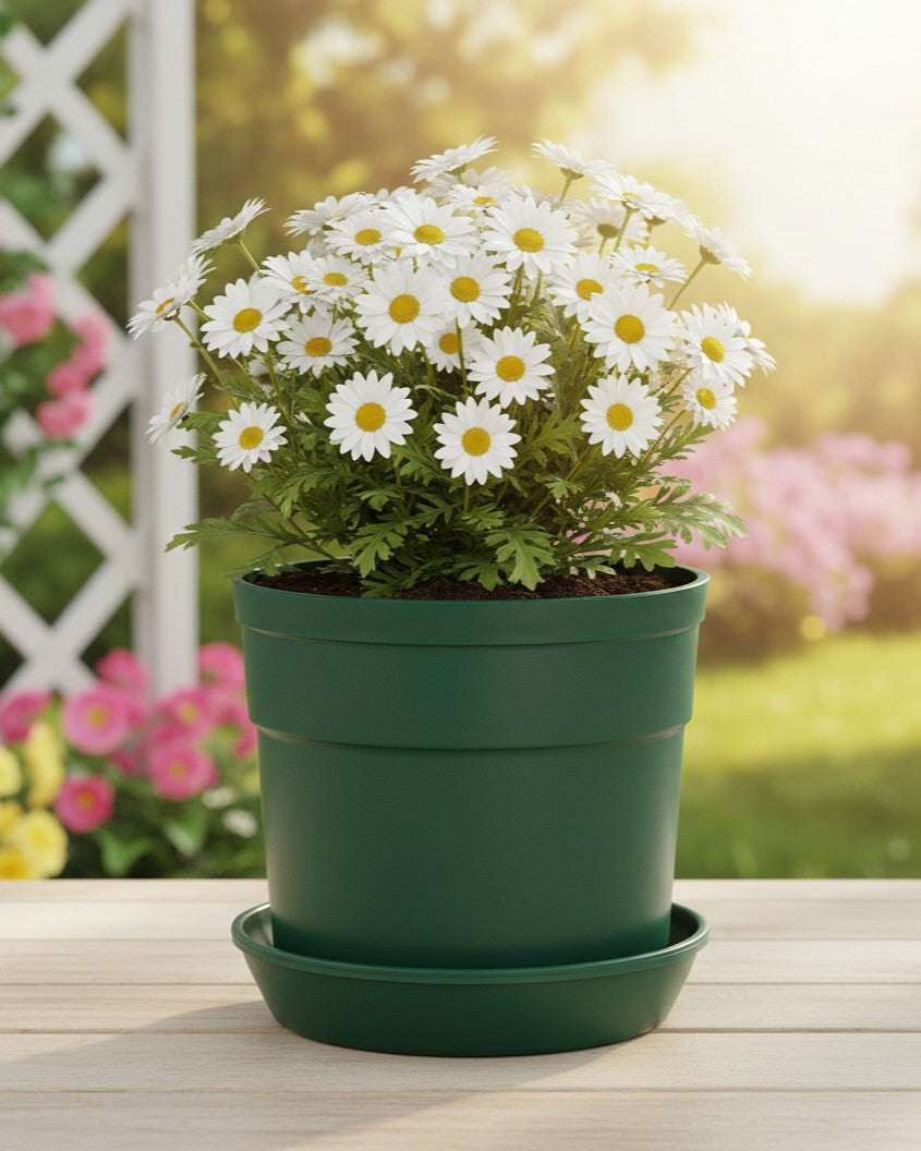 Austin Planter under 7 inch - Multi Size & Color Plastic Flower Pot, Seedling & Nursery Planter with Saucers