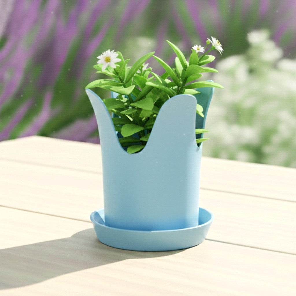 Tulip with saucer