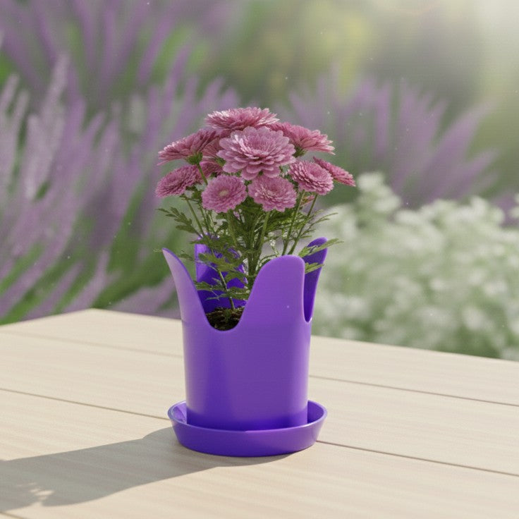 Tulip 3 inch Pot with Saucer