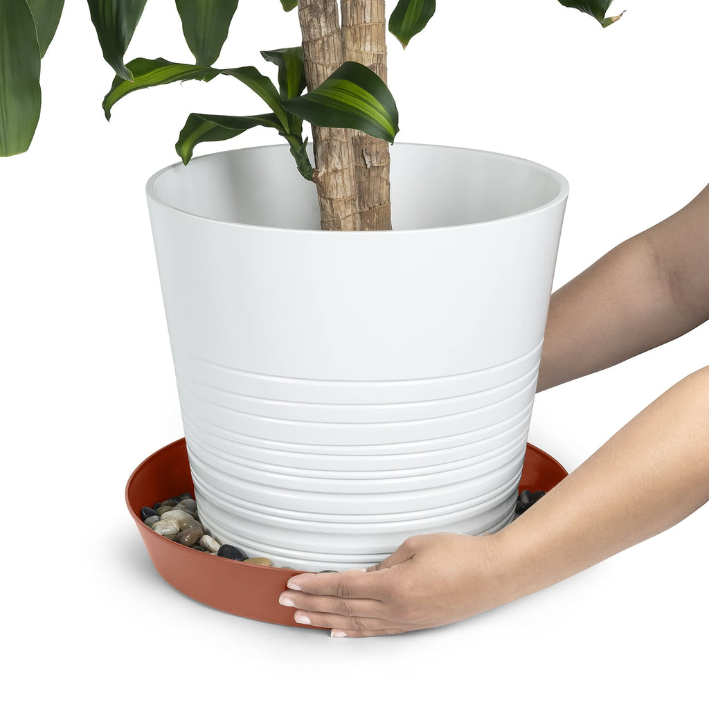 Austin Planter Saucers, Terra Cotta Colored Tray and Drip Pan