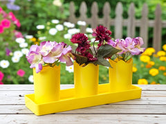 Austin Planter under 7 inch - Multi Size & Color Plastic Flower Pot, Seedling & Nursery Planter with Saucers