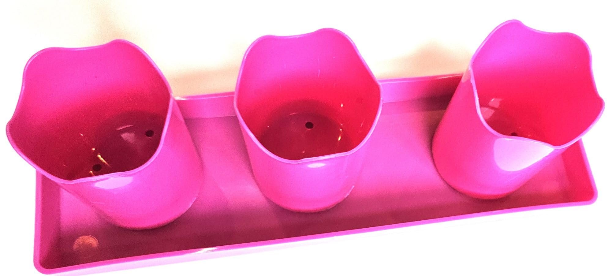 Austin Planter Plastic Flower Pot with Saucer less than 6 inch
