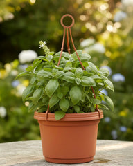 Austin Planter 9 inch Hanging Flower Pots Terra Cotta Colored Polypropylene (5 Pack) Made in USA