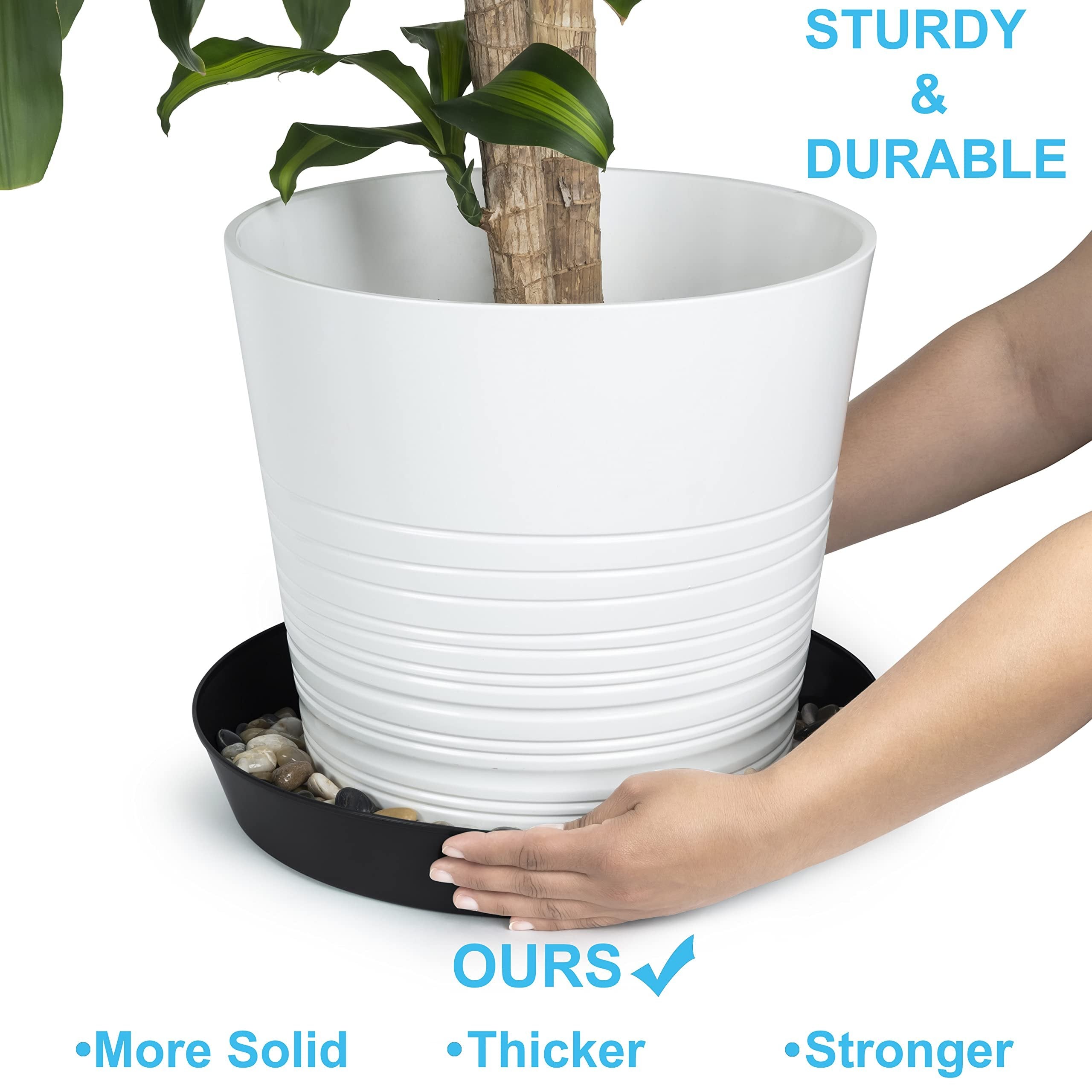 house plant saucers Austin Planter 8 Inch (6.3 Inch Base) Case of 5 Plant Saucer