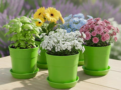 Austin Planter Plastic Flower Pots with Saucers, 4 inch, Lime Green, 5 Pack, Planter, Nursery Planter, Colorful Flower Pots with Saucers