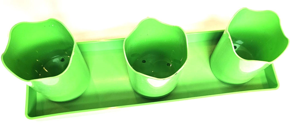 Austin Planter Plastic Flower Pot with Saucer less than 6 inch