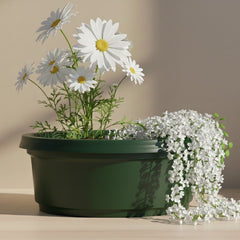 Austin Planter 13 inch by 5 inch Pot with Saucer (14 inch saucer)