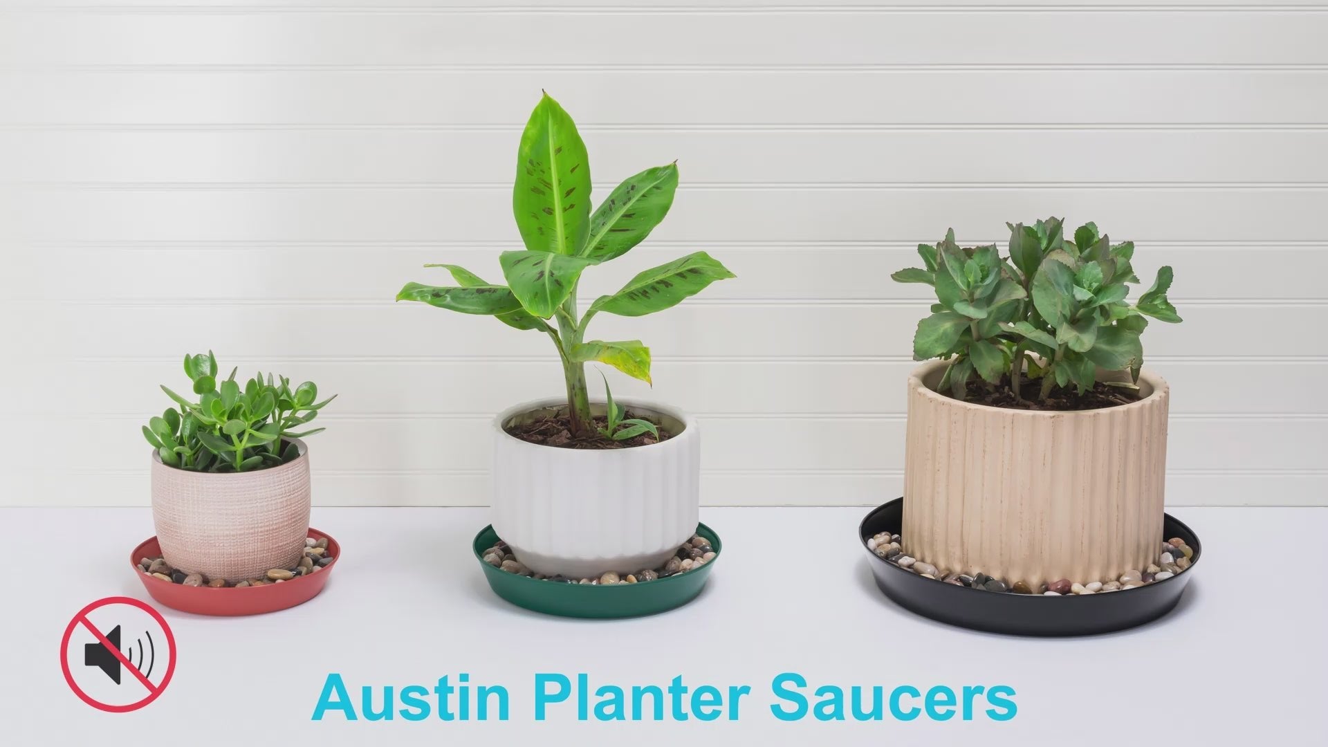 Austin Planter Saucers - White Granite Colored Tray and Drip pan.