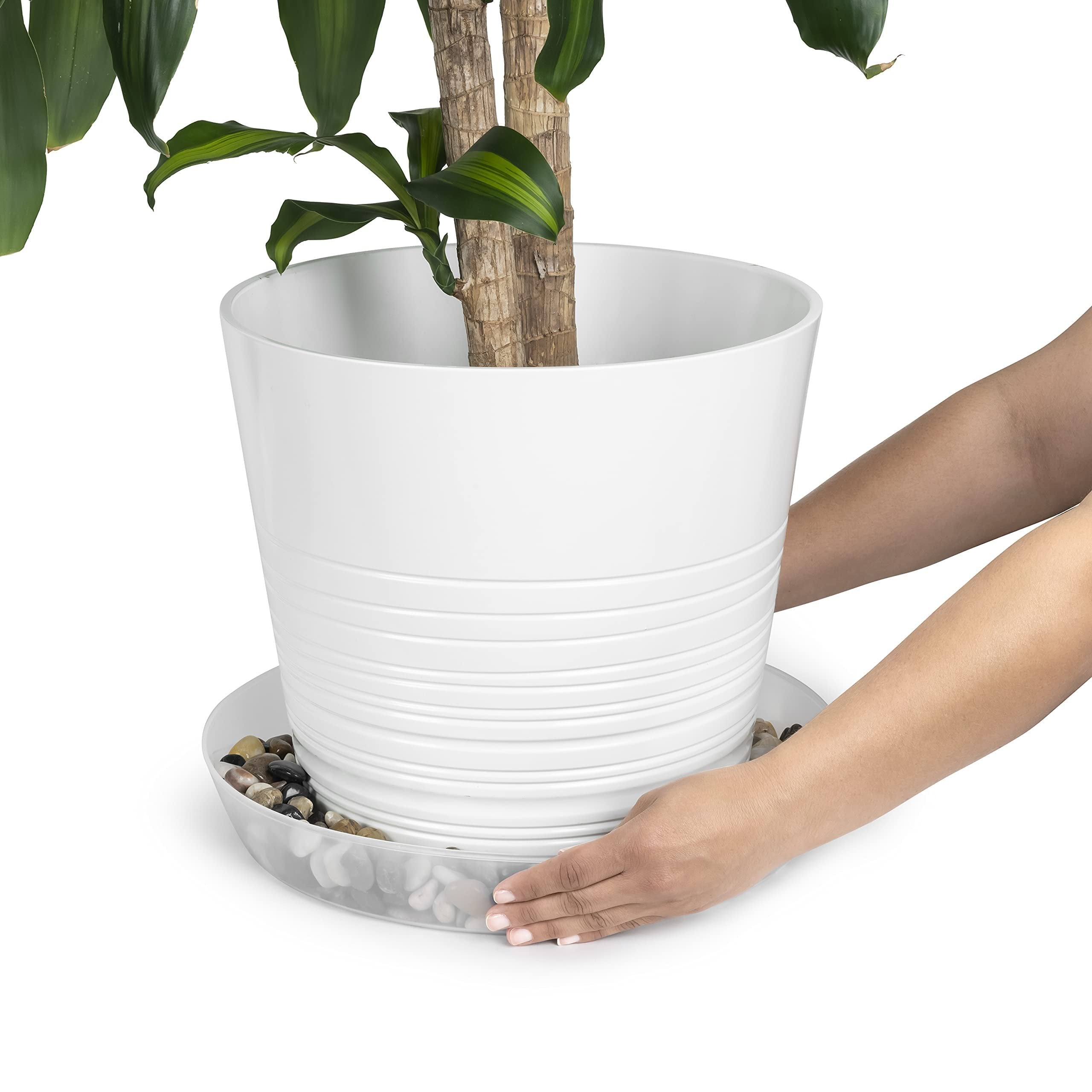 indoor plant pot and saucer Austin Planter 8AS-N5pack 8 in. Clear Saucer