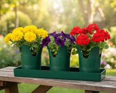 Austin Planter Case of 5 - Multi Size & Color Plastic Flower Pot, Seedling & Nursery Planter with Saucers