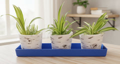 Austin Planter Saucer Rectangle 11.5 x 3.25 inches Sea Blue 5 Pack