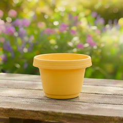 Austin Planter Case of 5 - Multi Size & Color Plastic Flower Pot, Seedling & Nursery Planter with Saucers