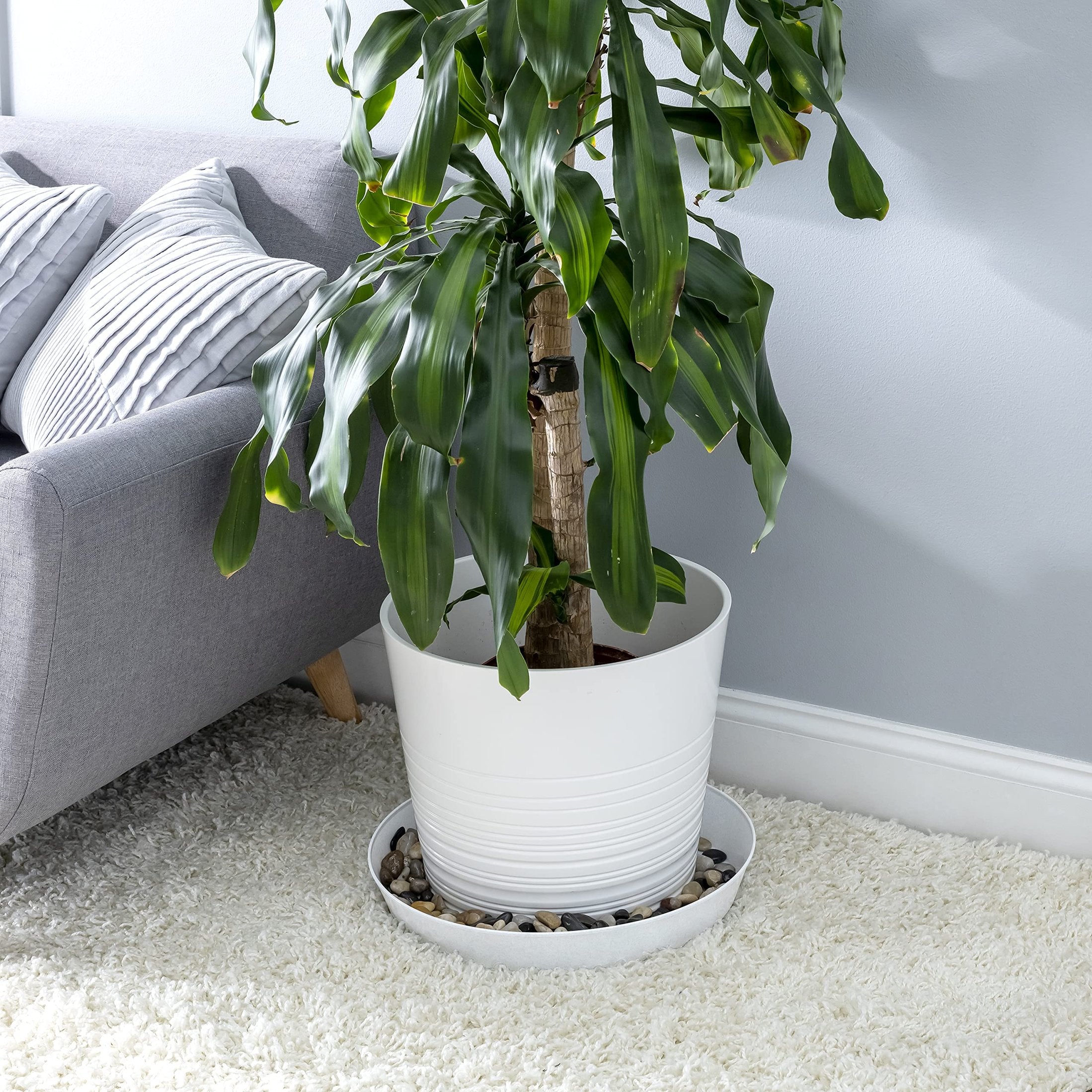 Austin Planter Saucers - White Granite Colored Tray and Drip pan.