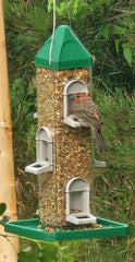 Bird Feeder