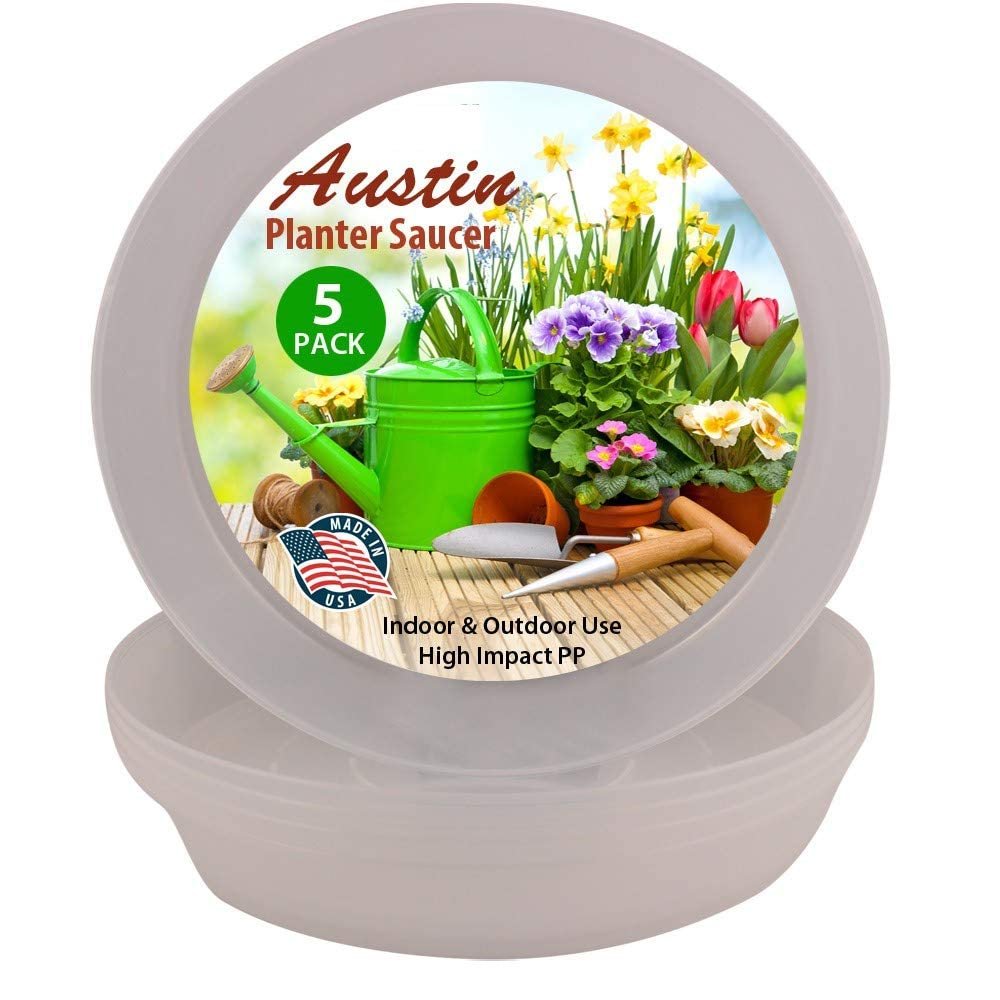 natural saucer for plants Austin Planter 8AS-N5pack 8 in. Clear Saucer