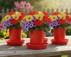Austin Planter Plastic Flower Pot, Seedling & Nursery Planter with Saucers or hangers