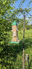 Bird Feeder