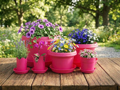 12-Piece Flower Pot and Saucer Set, (2"–12")