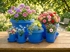 12-Piece Flower Pot and Saucer Set, (2"–12")