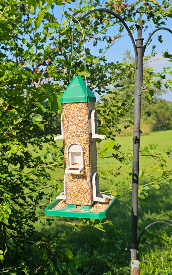 weather resistant bird feeder